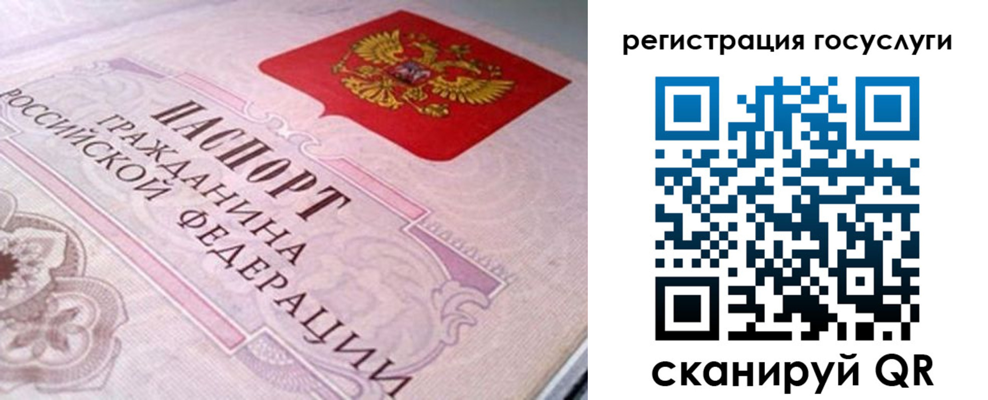 где прописаться в Калуге